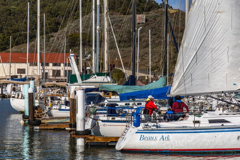 Lost in Translation at the Dock? A Sailor's Phrasebook for First-Timers in Montauk